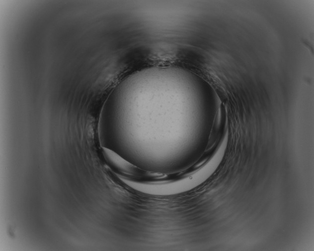 X0000091980570200709131414