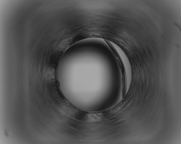 X0000091980571200709131414