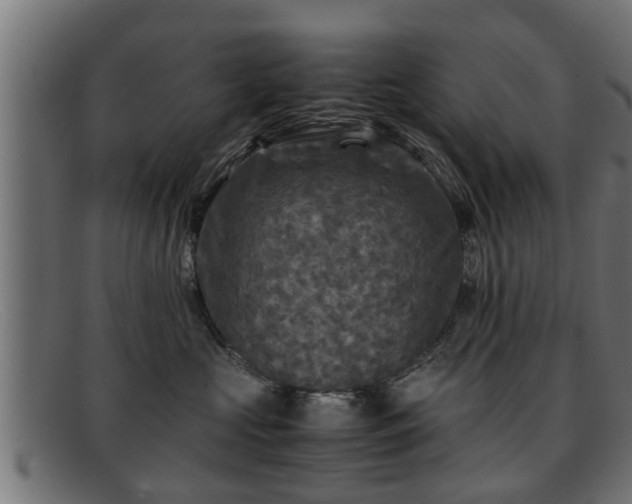 X0000091980573200709131414