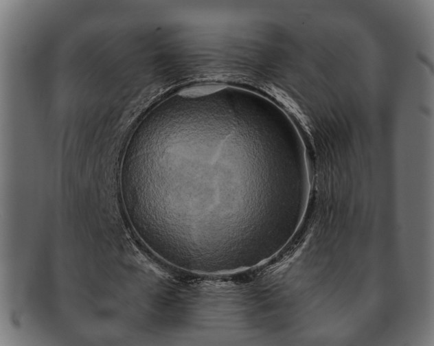 X0000091980577200709131414