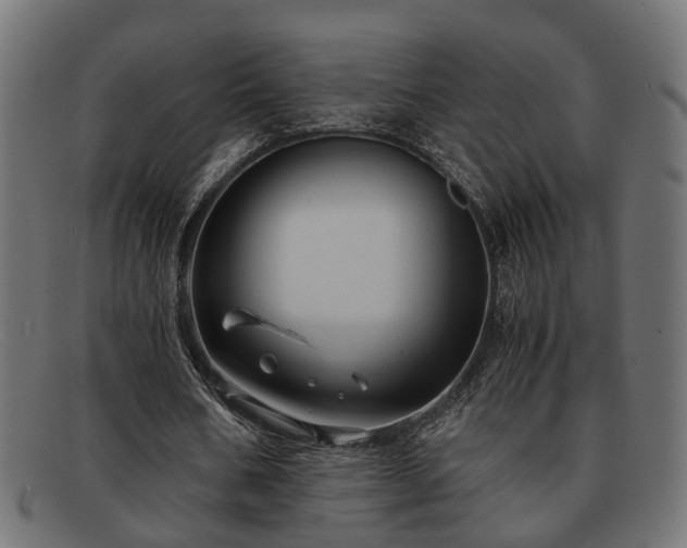 X0000091980578200709131414