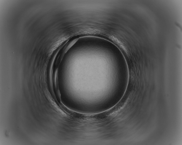 X0000091980581200709131414