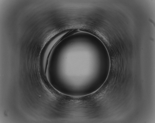 X0000091980582200709131414