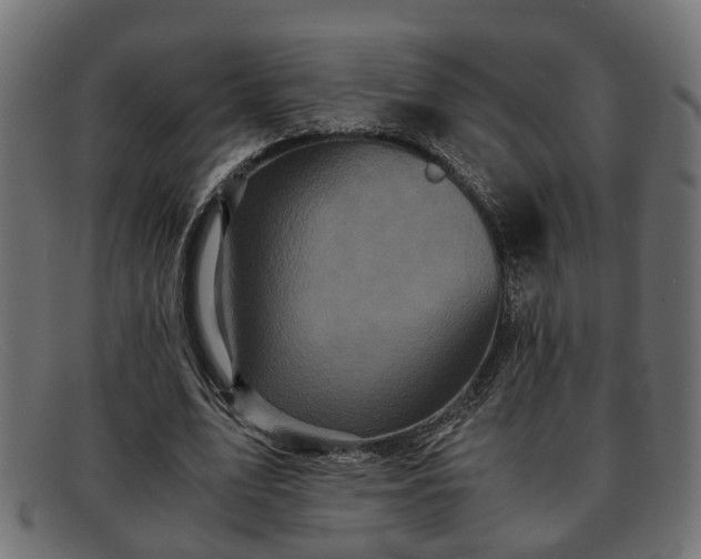 X0000091980583200709131414