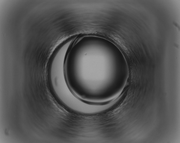 X0000091980584200709131414