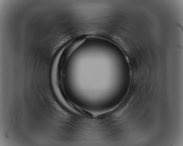 X0000091980585200709131414