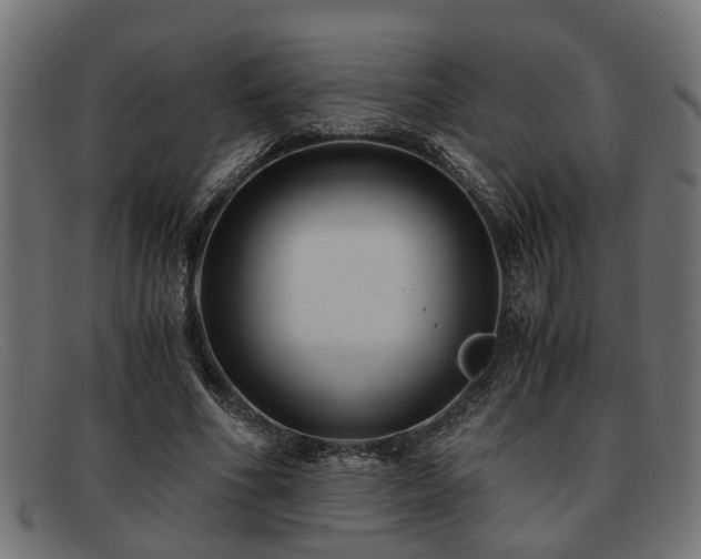 X0000091980586200709131414