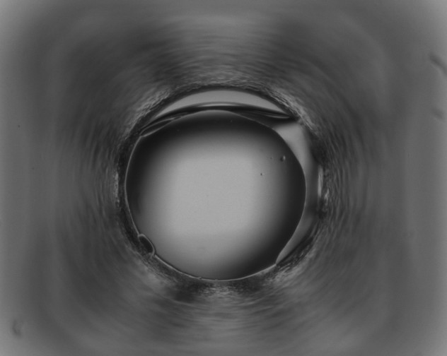 X0000091980589200709131414