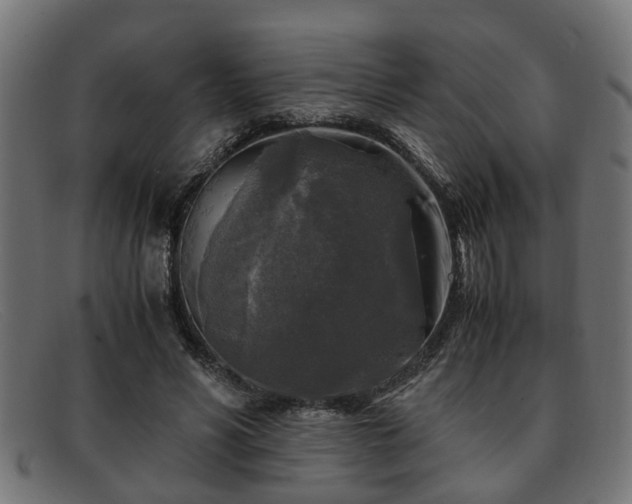 X0000091980590200709131414