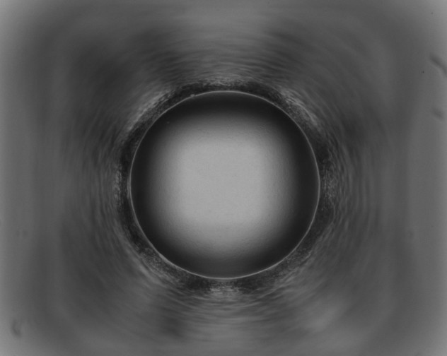 X0000091980591200709131414