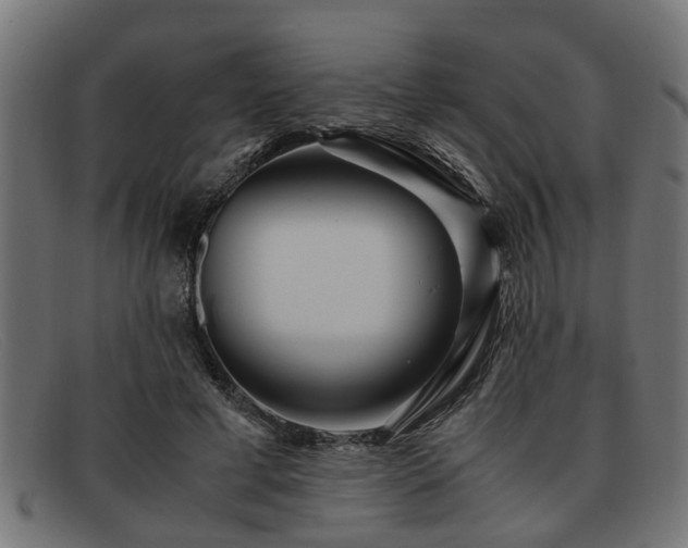 X0000091980593200709131414