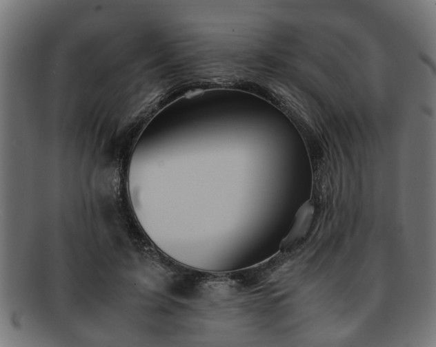 X0000091980595200709131413