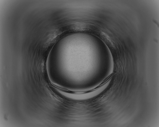 X0000091980596200709131413