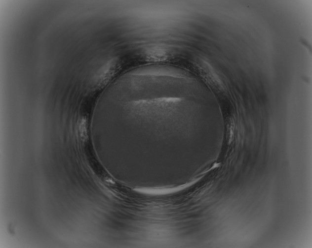 X0000091980598200709131413