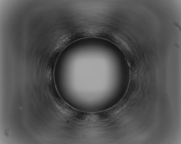 X0000091980599200709131413