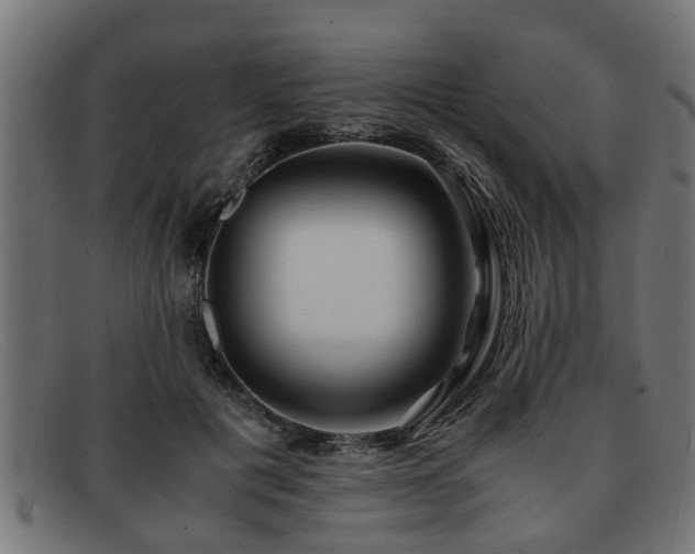 X0000091980601200709131413