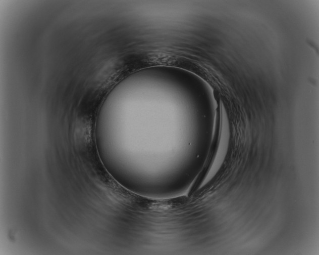 X0000091980602200709131413