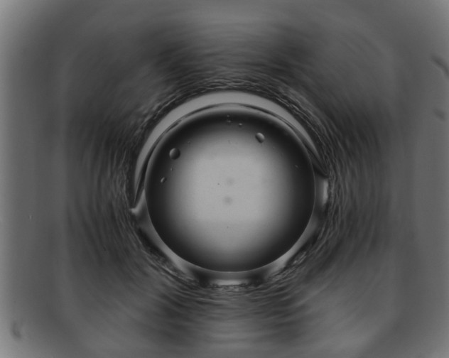 X0000091980604200709131413