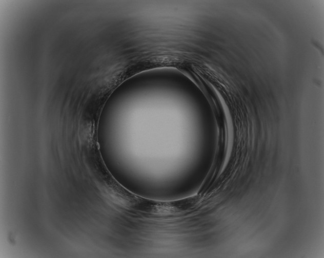 X0000091980605200709131413