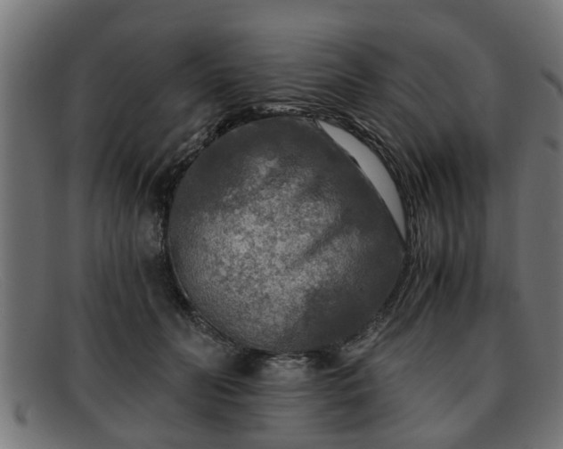 X0000091980606200709131413