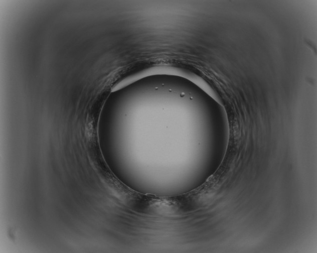 X0000091980611200709131413