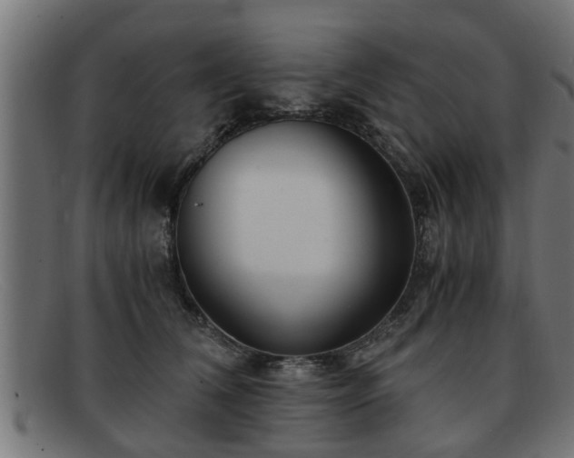 X0000091980612200709131413