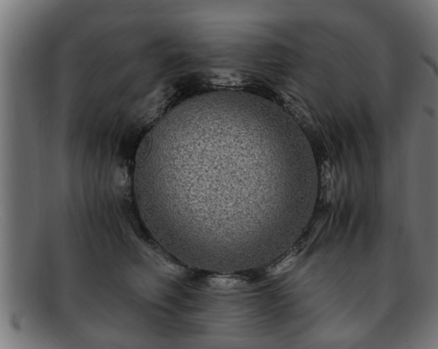 X0000091980614200709131413