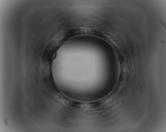 X0000091980615200709131413