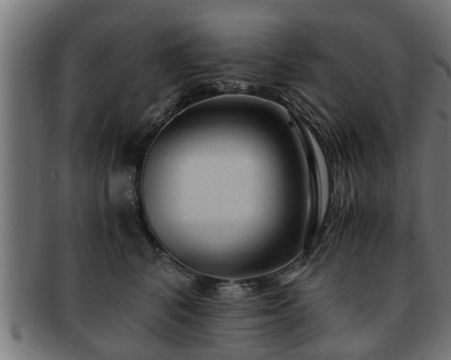 X0000091980616200709131413