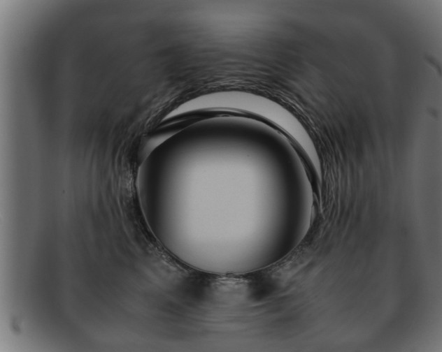 X0000091980617200709131413