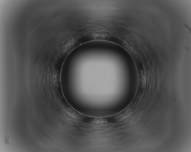 X0000091980619200709131413