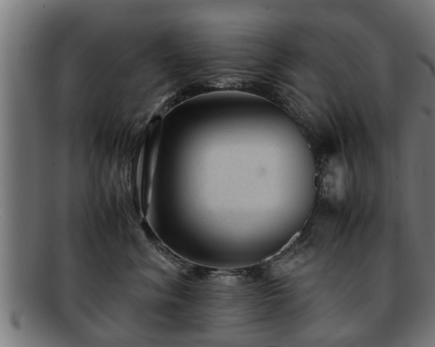 X0000091980620200709131413