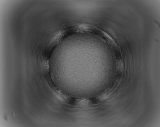 X0000091980621200709131413