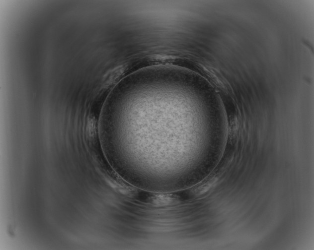 X0000091980623200709131413