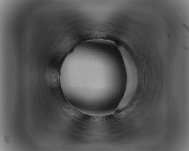 X0000091980624200709131413