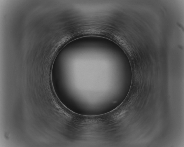 X0000091980625200709131412