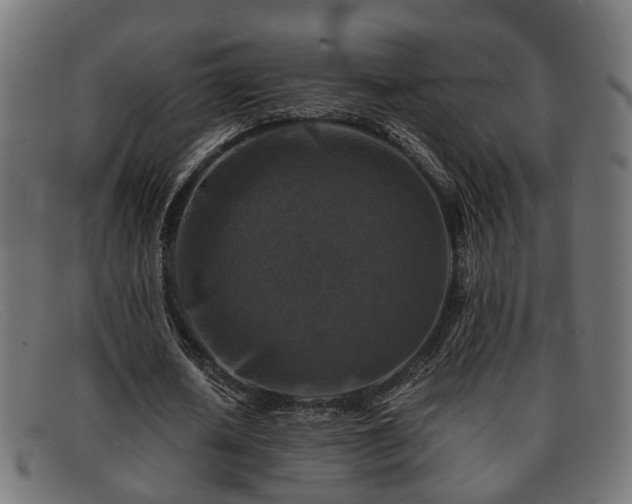 X0000091980626200709131412