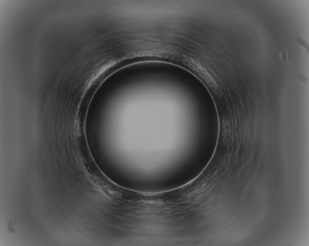 X0000091980628200709131412