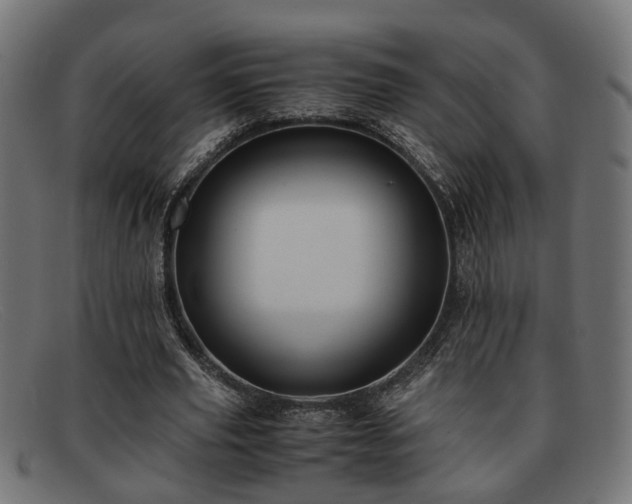 X0000091980629200709131412