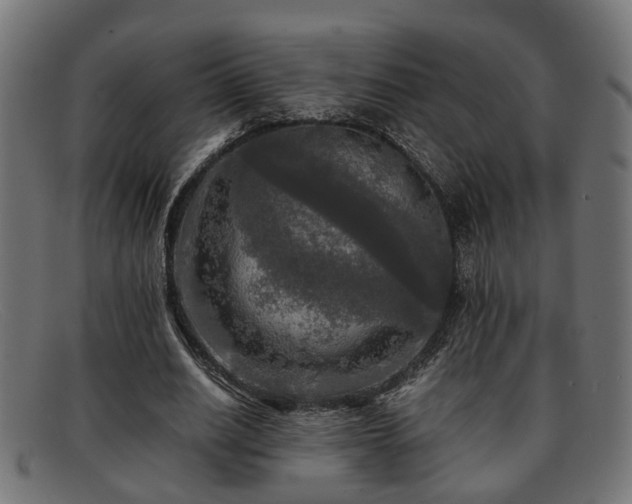 X0000091980630200709131412