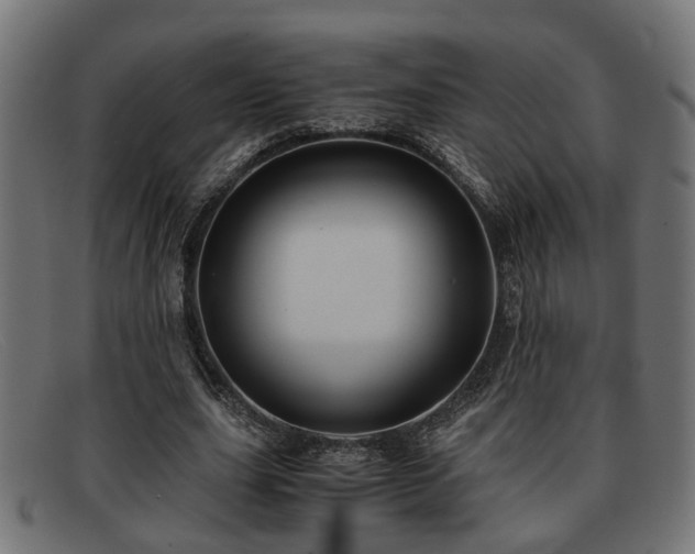 X0000091980631200709131412