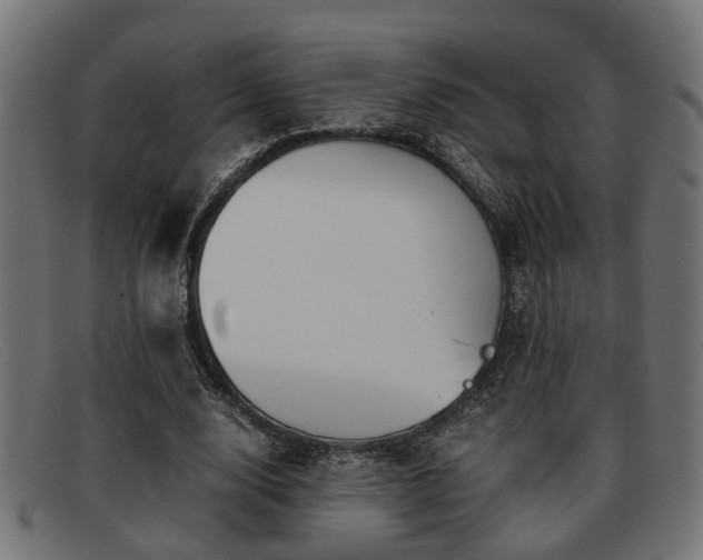 X0000091980632200709131412