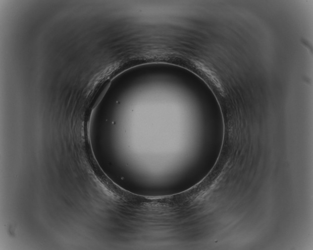 X0000091980633200709131412