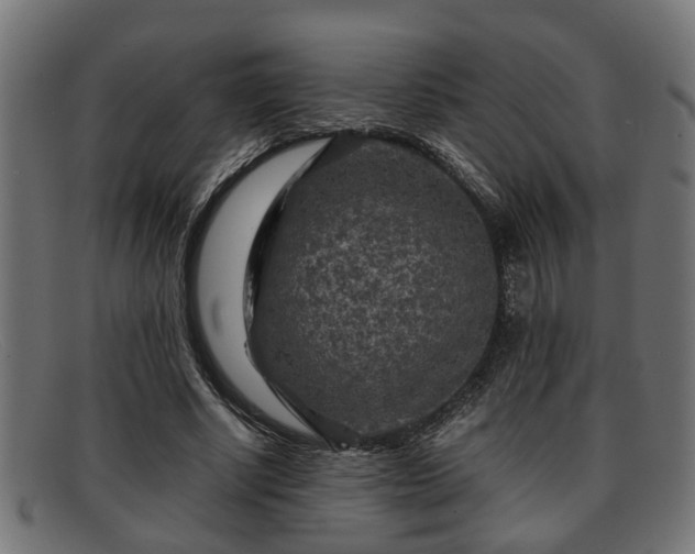 X0000091980634200709131413