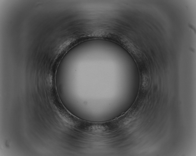 X0000091980636200709131413