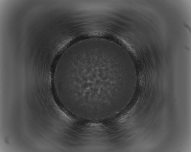 X0000091980637200709131413