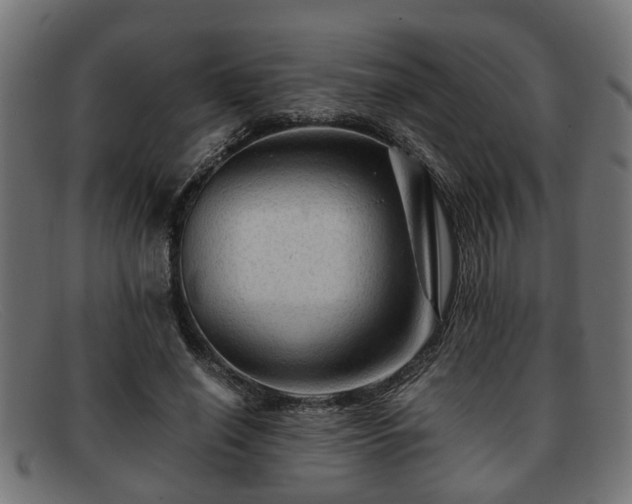 X0000091980638200709131413