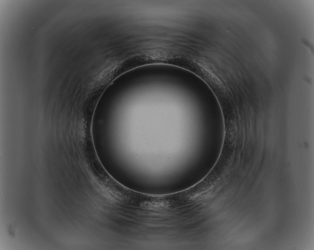 X0000091980639200709131413