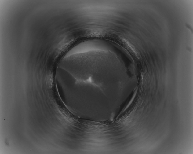 X0000091980640200709131413