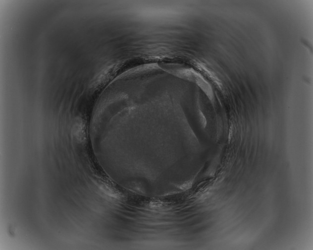 X0000091980641200709131413